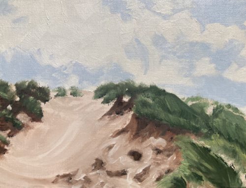 Düne Henne Mølle Öl