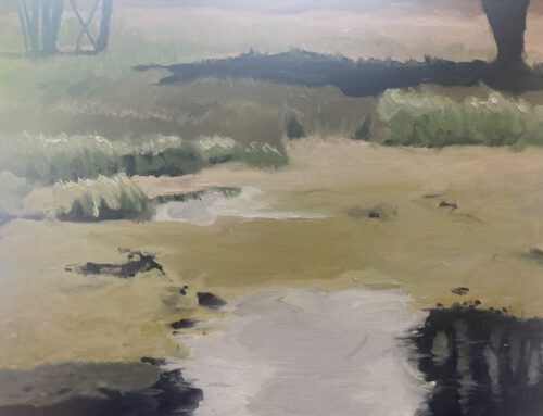 Teich Lüneburger Heide